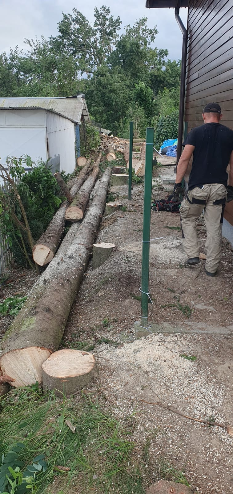 Karczowanie działek - praca 11