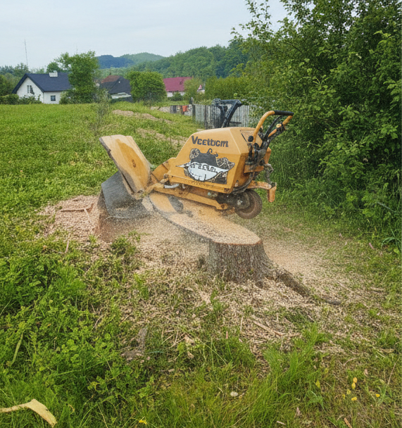 Wywoz gałęzi - praca 6